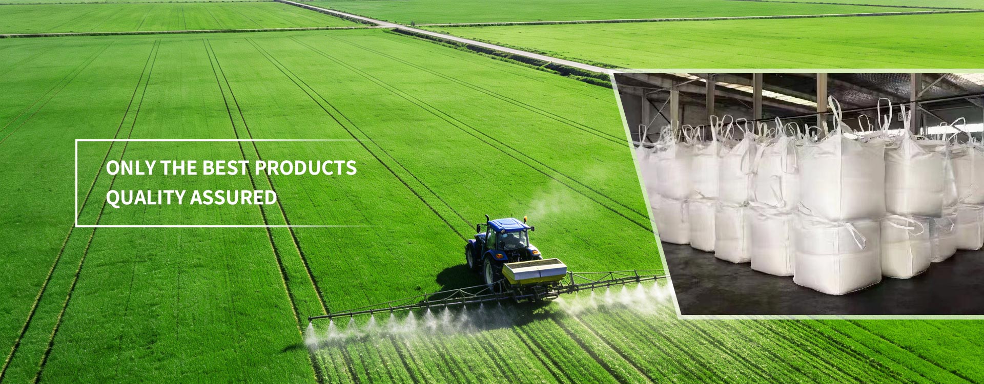 Kualitas Dijamin Mung Produk Paling Apik