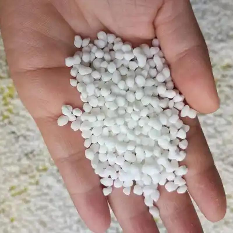 Kanggo Base lan Klamben Top